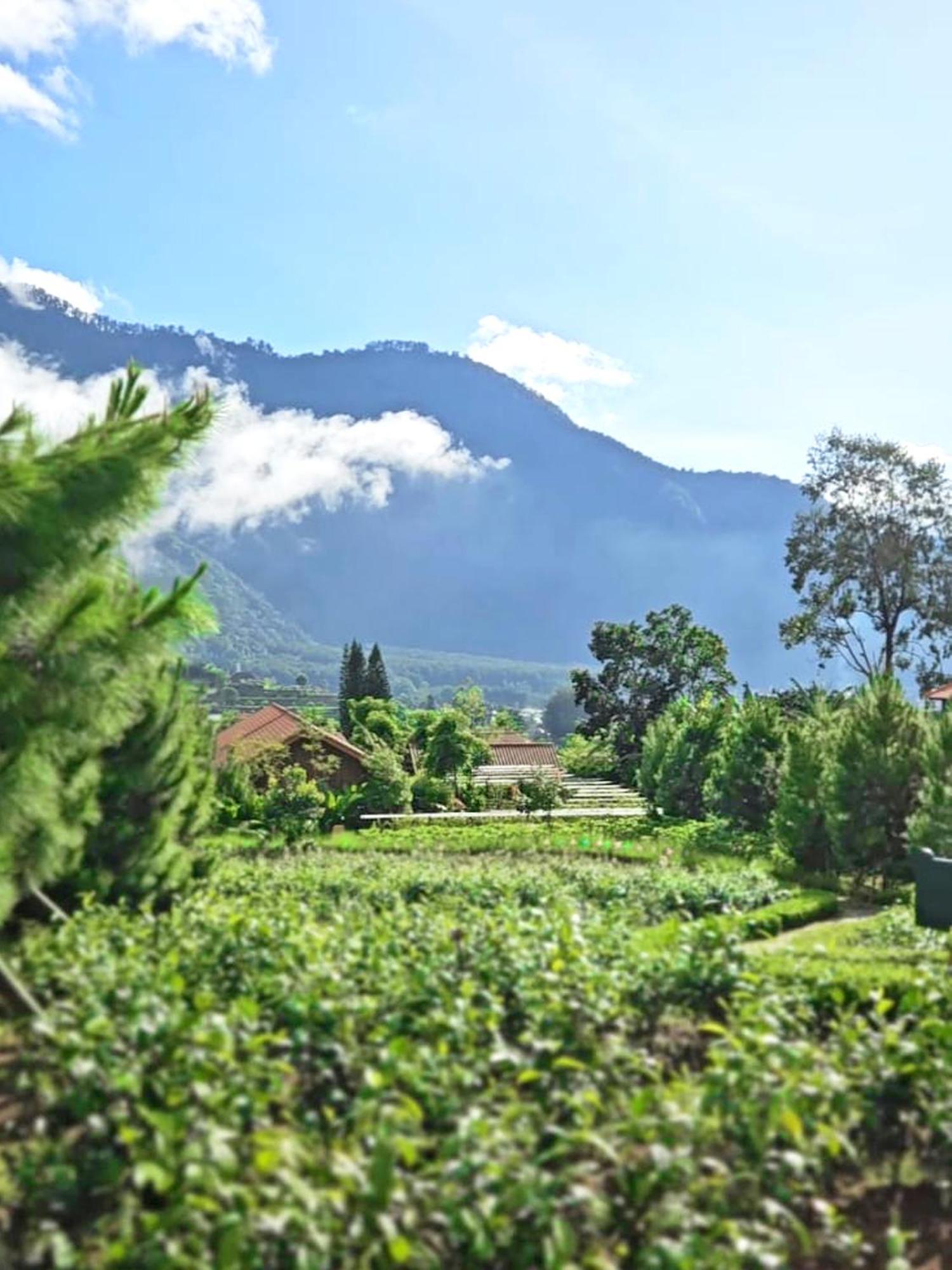 Dusun Bedugul Asri Hotel ภายนอก รูปภาพ