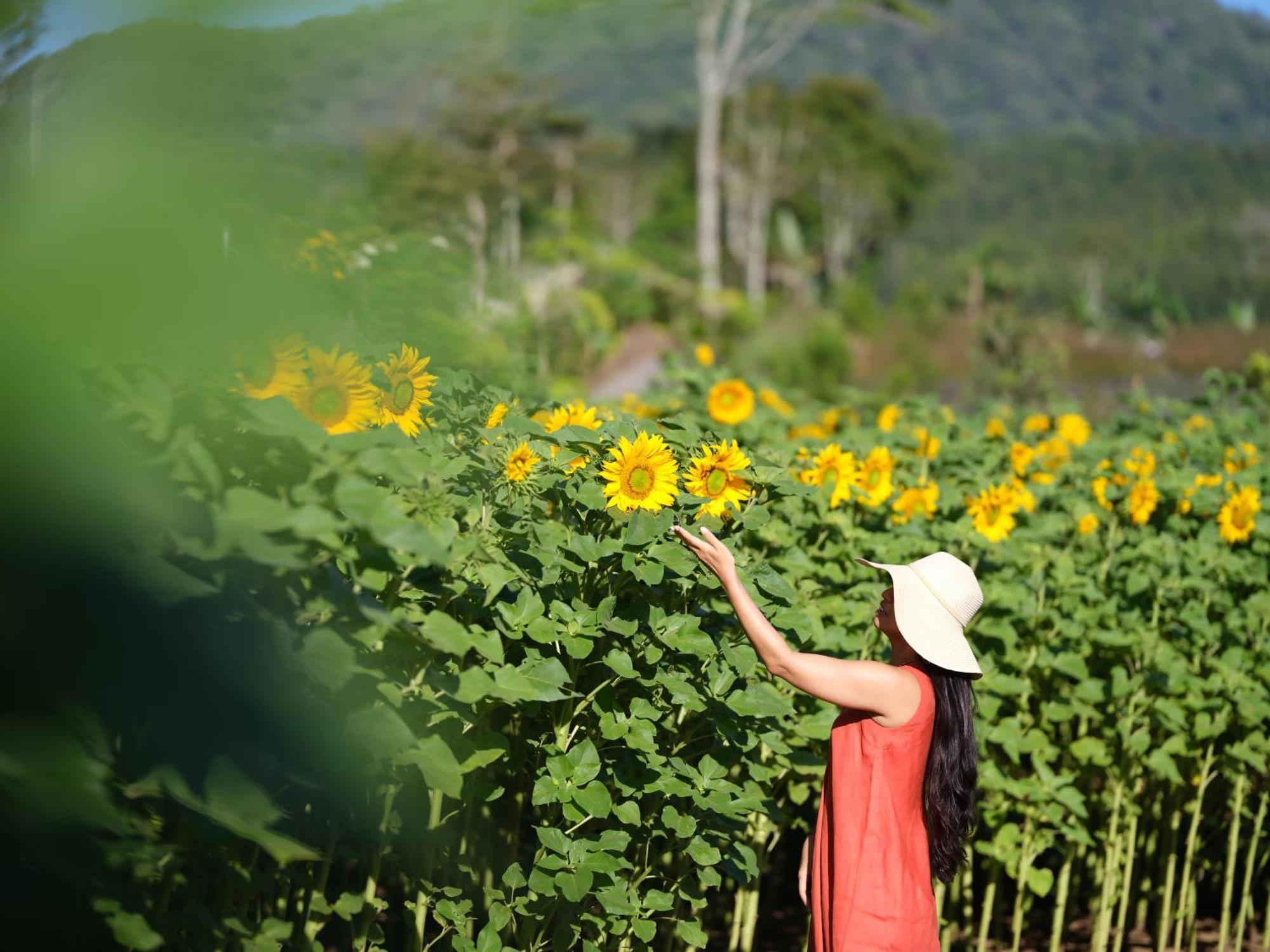 Dusun Bedugul Asri Hotel ภายนอก รูปภาพ