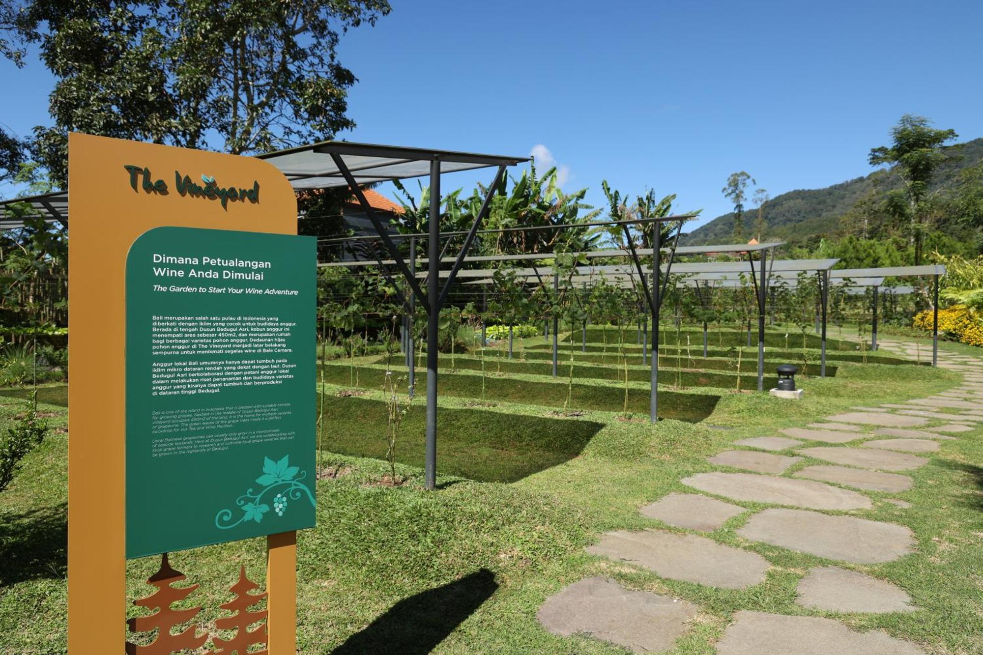 Dusun Bedugul Asri Hotel ภายนอก รูปภาพ