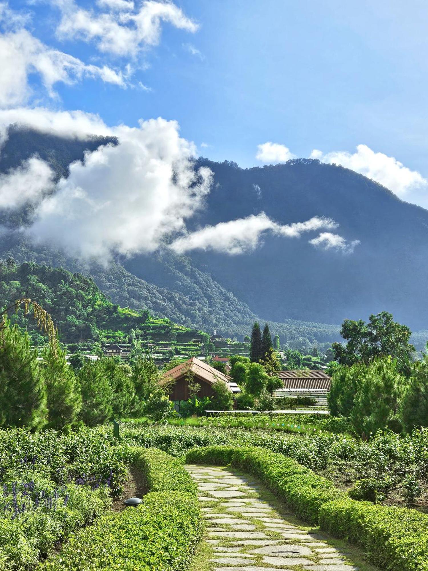 Dusun Bedugul Asri Hotel ภายนอก รูปภาพ