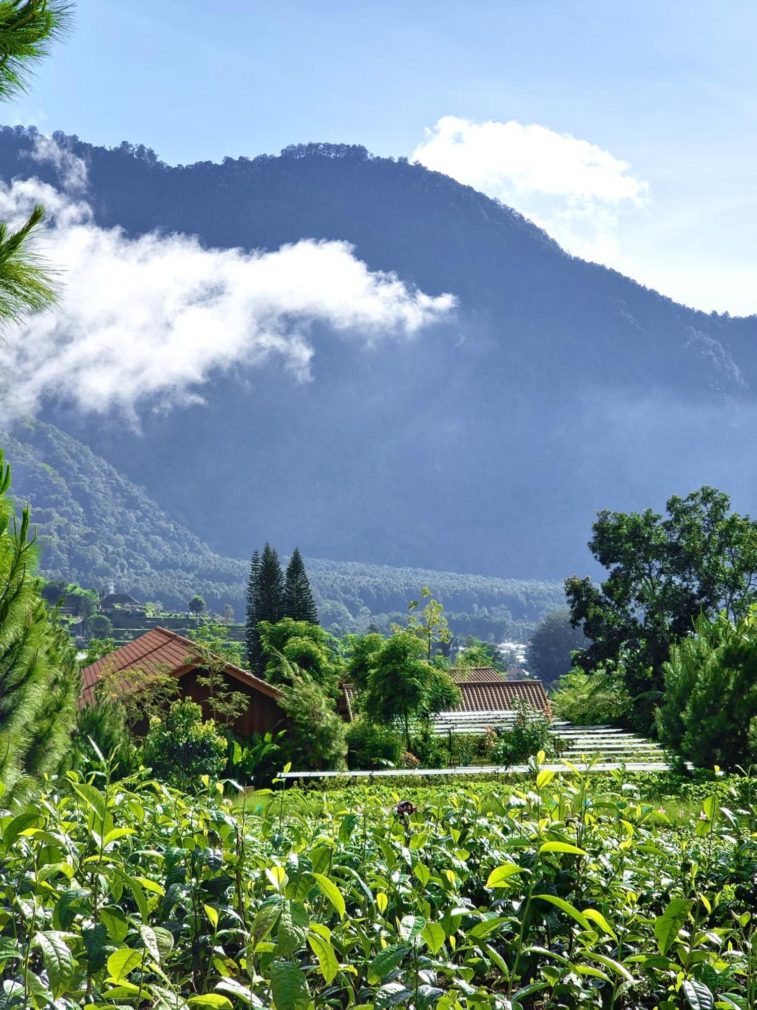Dusun Bedugul Asri Hotel ภายนอก รูปภาพ